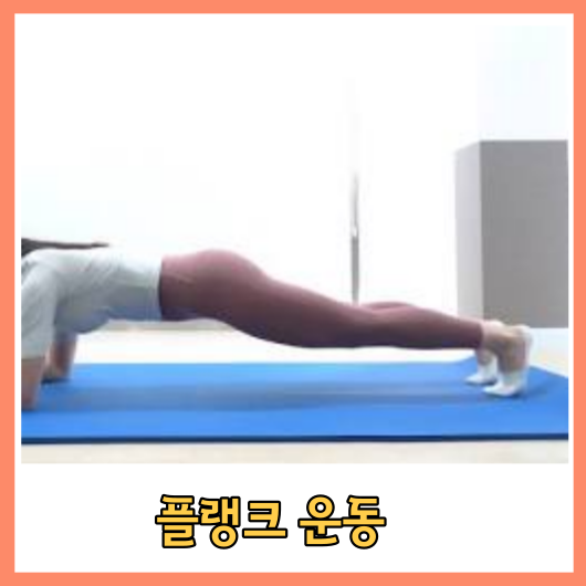 플랭크 운동