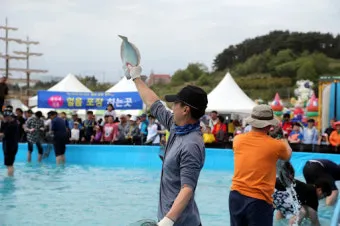 서천 광어 도미 축제에서 제철 맛 체험 완벽 여행 가이드_12