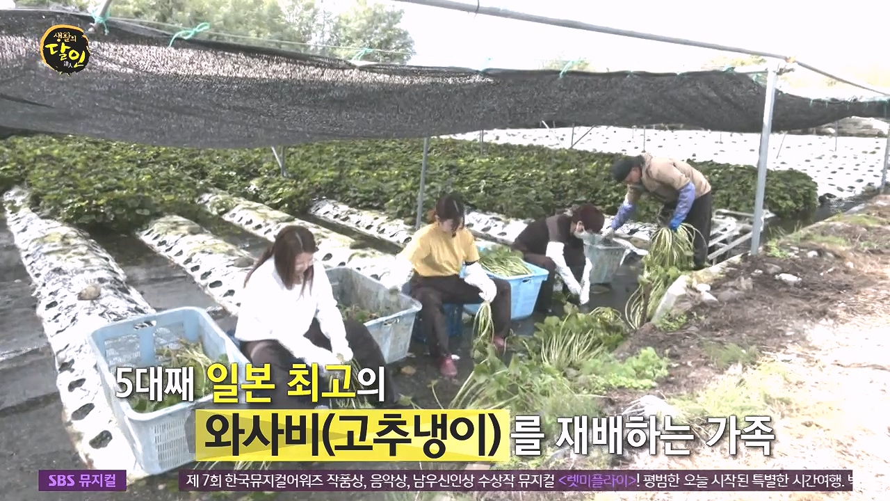 생활의 달인.E908.231017p-NEXT.mp4_20231017_195940.031.jpg