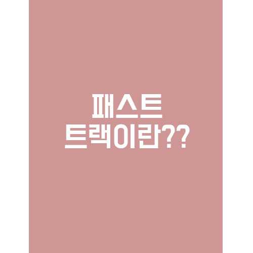  패스트 트랙 이란?