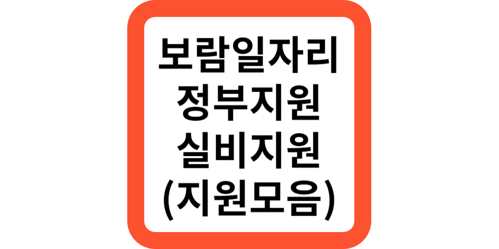  중장년 보람일자리 정부지원 신청방법(정부지원총정리)