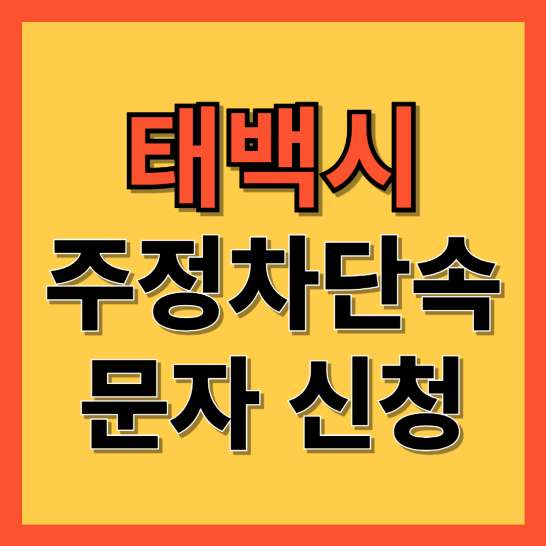 태백시 주정차 단속 알림 서비스 신청 방법 ❘ 주차단속 문자알림서비스