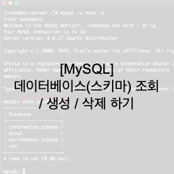  [MySQL] 데이터베이스(스키마) 조회 / 생성 / 삭제 하기(Database(Schema) show / create / drop)