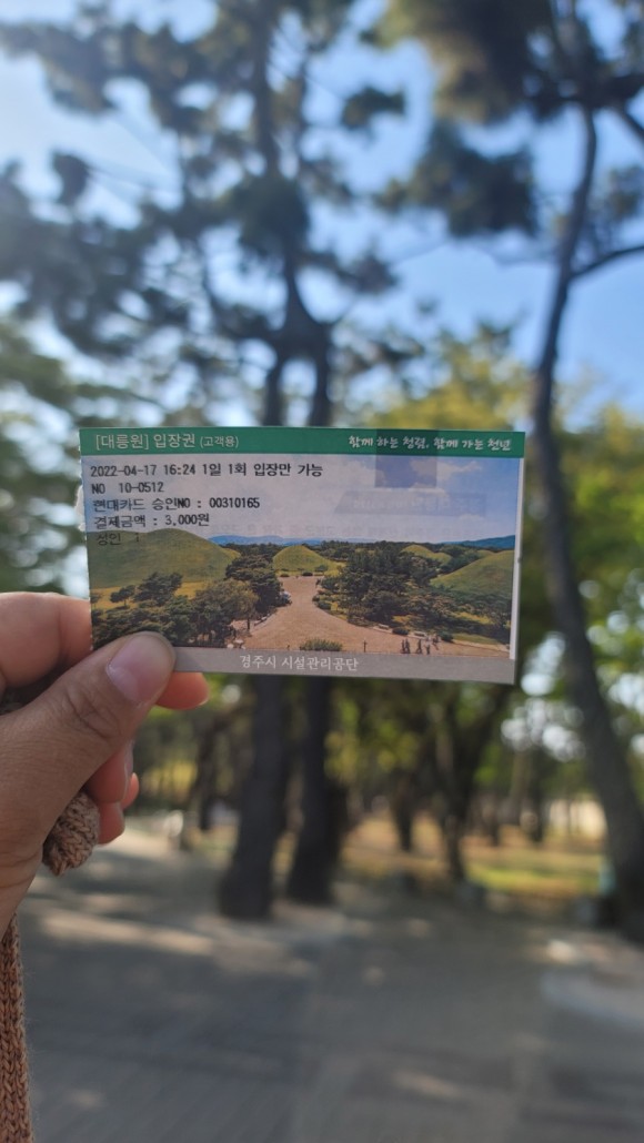국립 경주 박물관 아이들과 경주여행 : 3년만의 경주. ㅡ 소노벨경주, 16