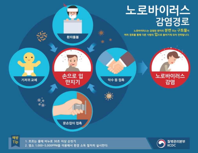 노로바이러스 감염경로