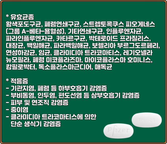 지스로맥스정_효능