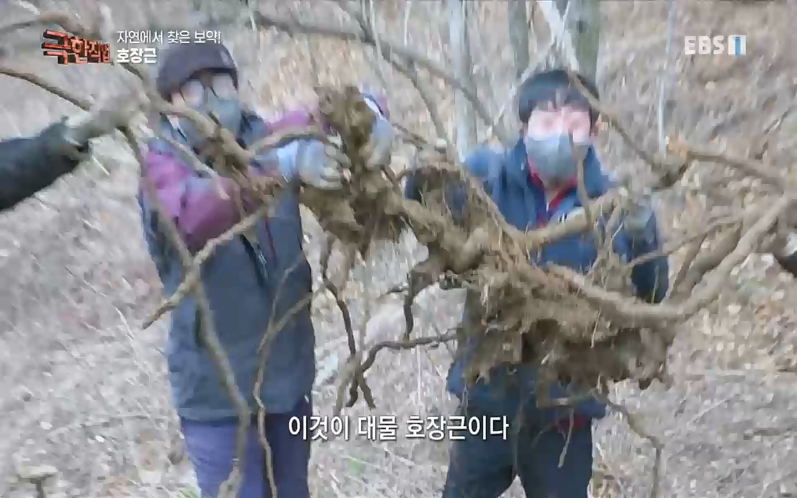 TV - 교육의 중심 EBS자연에서 찾은 보약! 석이버섯, 호장근, 백하수오.mp4_20220518_190737.992.jpg