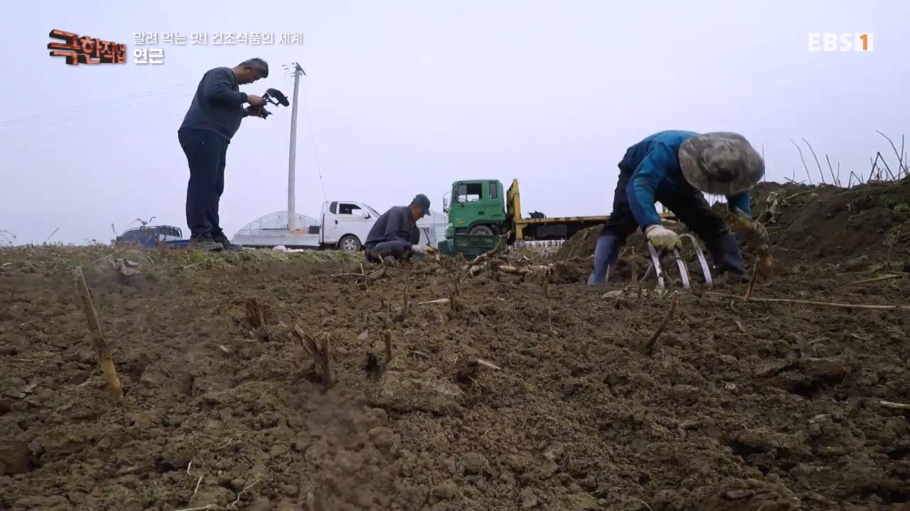 TV - 전 국민의 평생학교 EBS말려 먹는 맛! 건조식품의 세계.mp4_20231125_190725.529.jpg