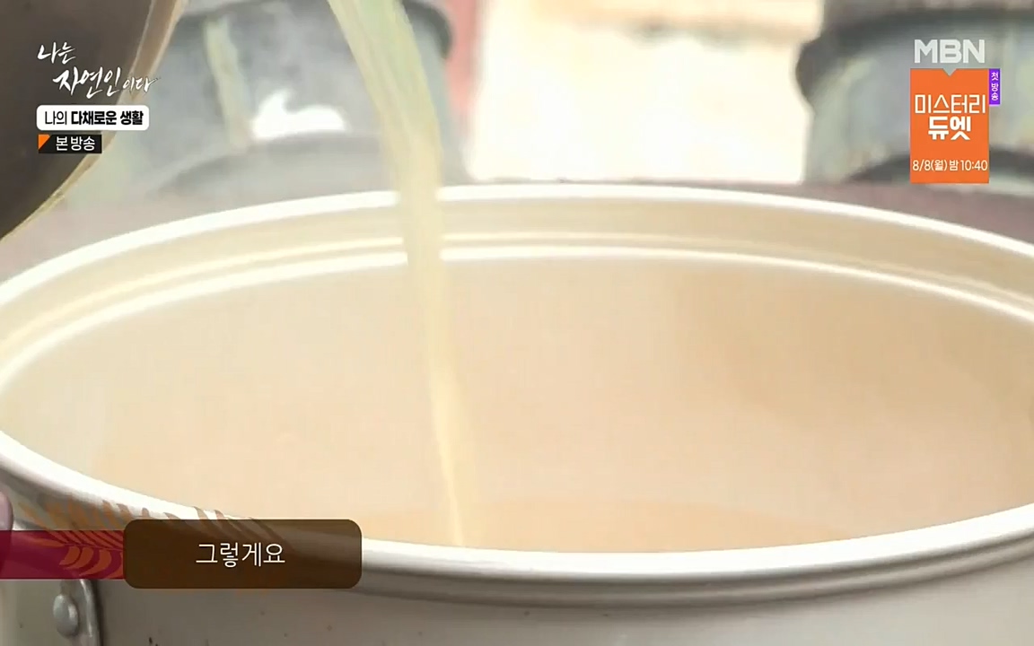 나는 자연인이다.E513.220804p-NEXT.mp4_20220804_201958.242.jpg