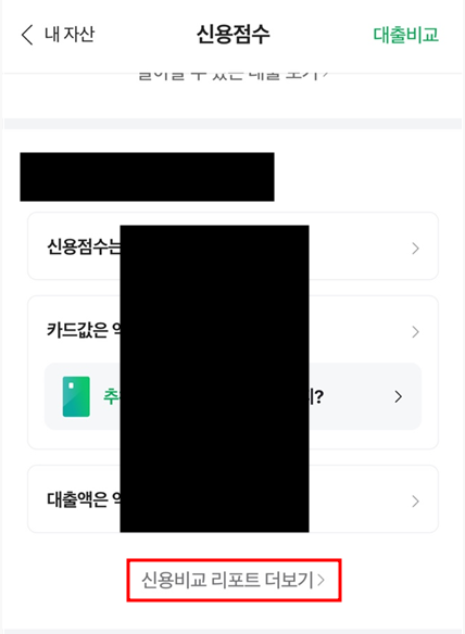 네이버페이 추정소득 확인방법 1