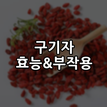 구기자 효능과 부작용 알고 건강하게 먹자.