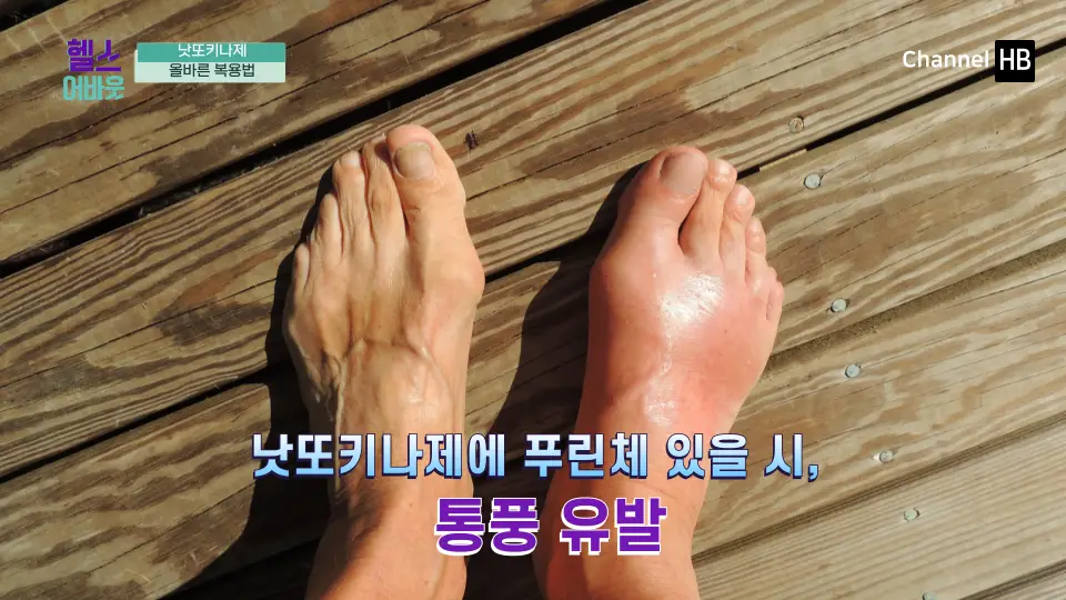 혈전용해제 나토키나제
