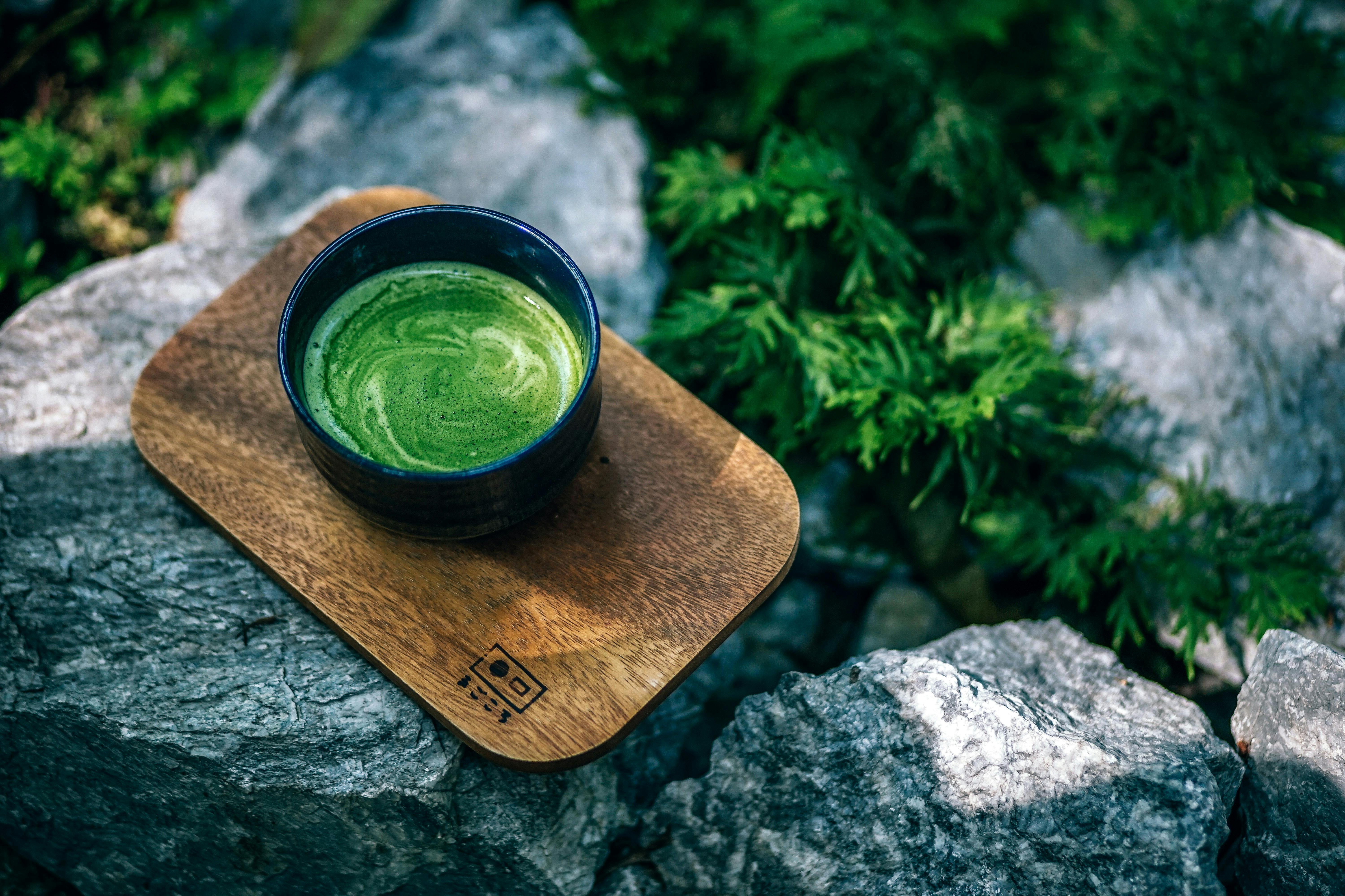 녹차 카테킨 녹차-효능 green-tea 스타벅스 그린티 프라푸치노