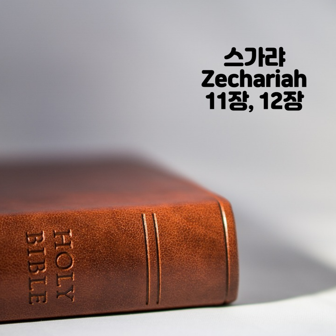 Holy BIBLE 생명의 삶 영어 한글 성경 말씀 - 스가랴(Zechariah) 11장, 12장
