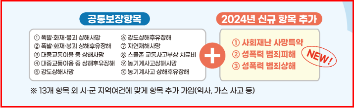 보장내용