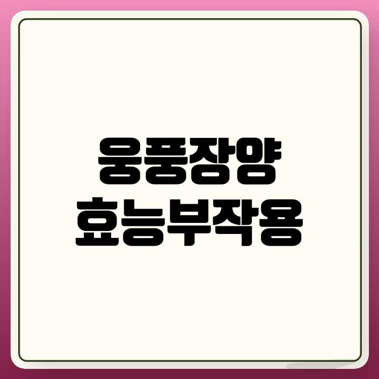 웅풍장양환 효능, 부작용 및 추천 이유 총정리