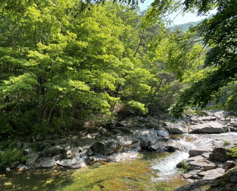 생생정보 지리산 철임 할머니 산나물밥상 &amp; 가을 제철 꽃게의 달인 위치 및 정보 