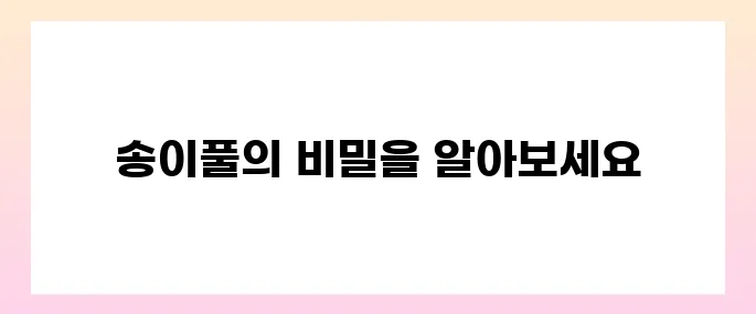 송이풀 효능, 부작용 및 먹는법
