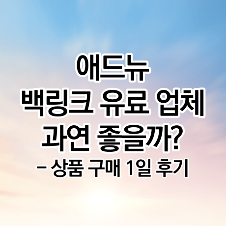  티스토리 구글 백링크 유료업체 애드뉴 사용 후기 1일차