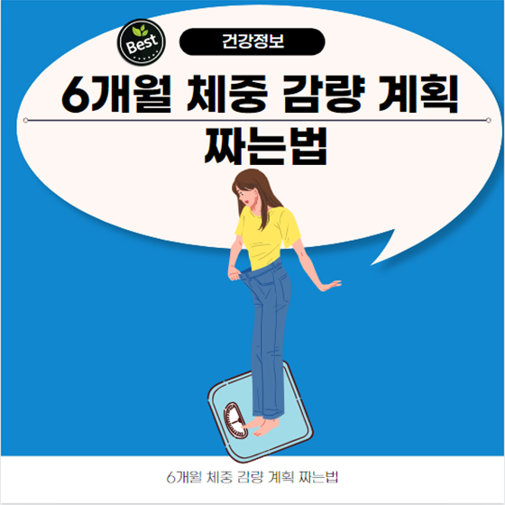  6개월 체중 감량 계획 짜는법