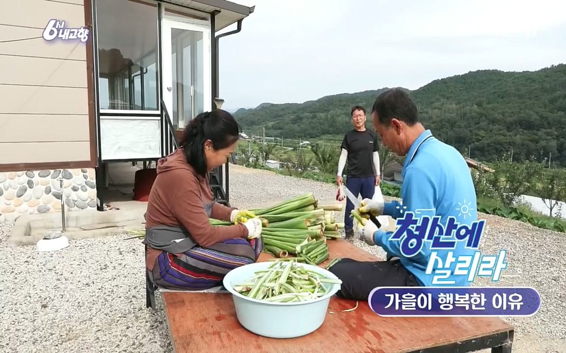 6시 내고향.E7618.220916p.H264-F1RST.mp4_20220920_202023.494.jpg