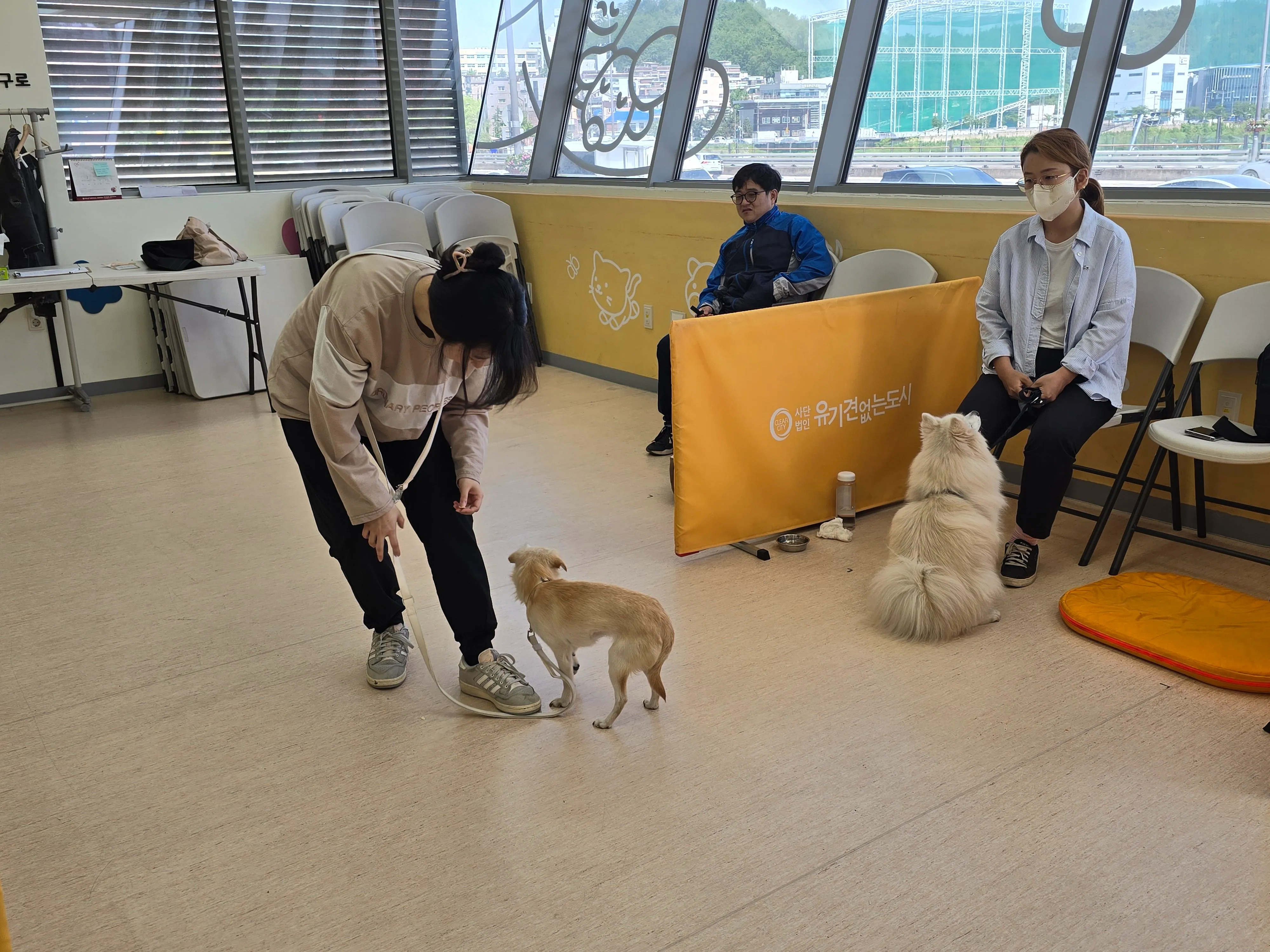 서울 반려동물 시민학교