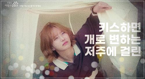 오늘도 사랑스럽게 재방송
