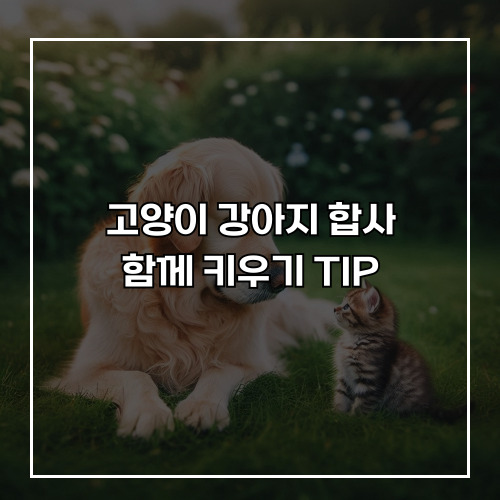 함께키우기 이미지