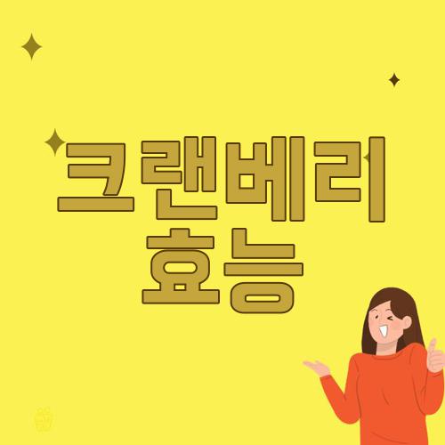 크랜베리 효능