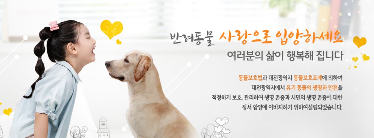  대전유기견 보호센터 사이트 및 전화번호 확인하기!