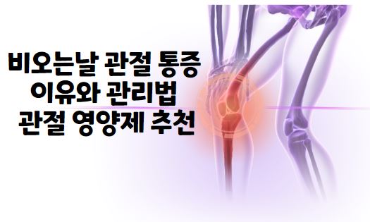 비오는날 관절 통증 이유와 관리법 관절 영양제 추천