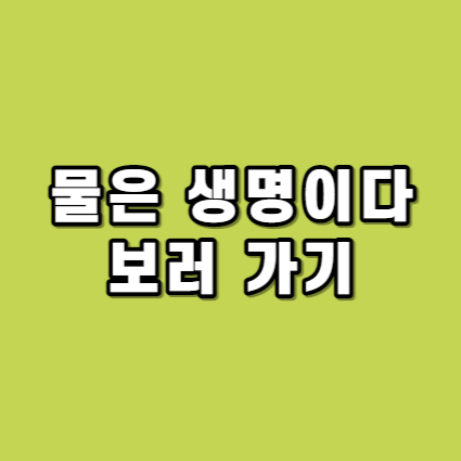 대표사진