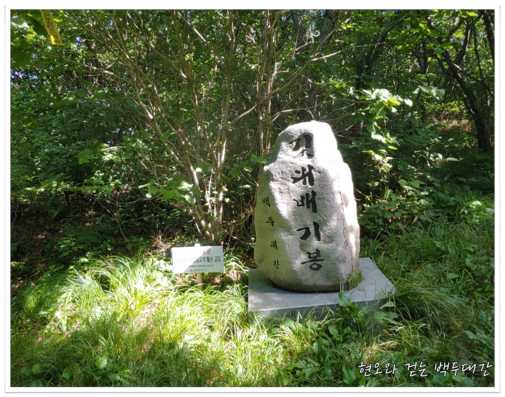 운곡천 이미지