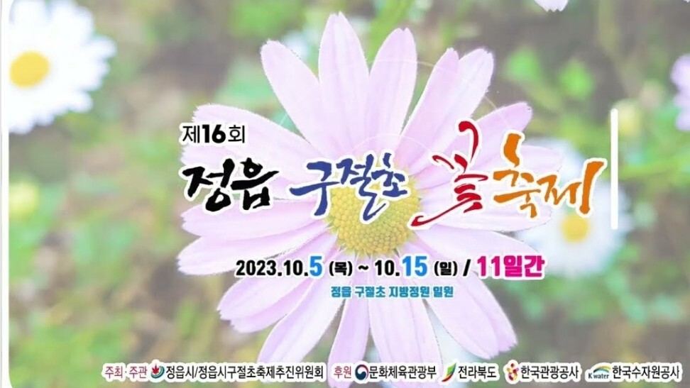 구절초축제