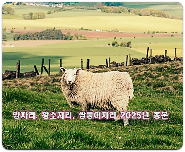양자리운세