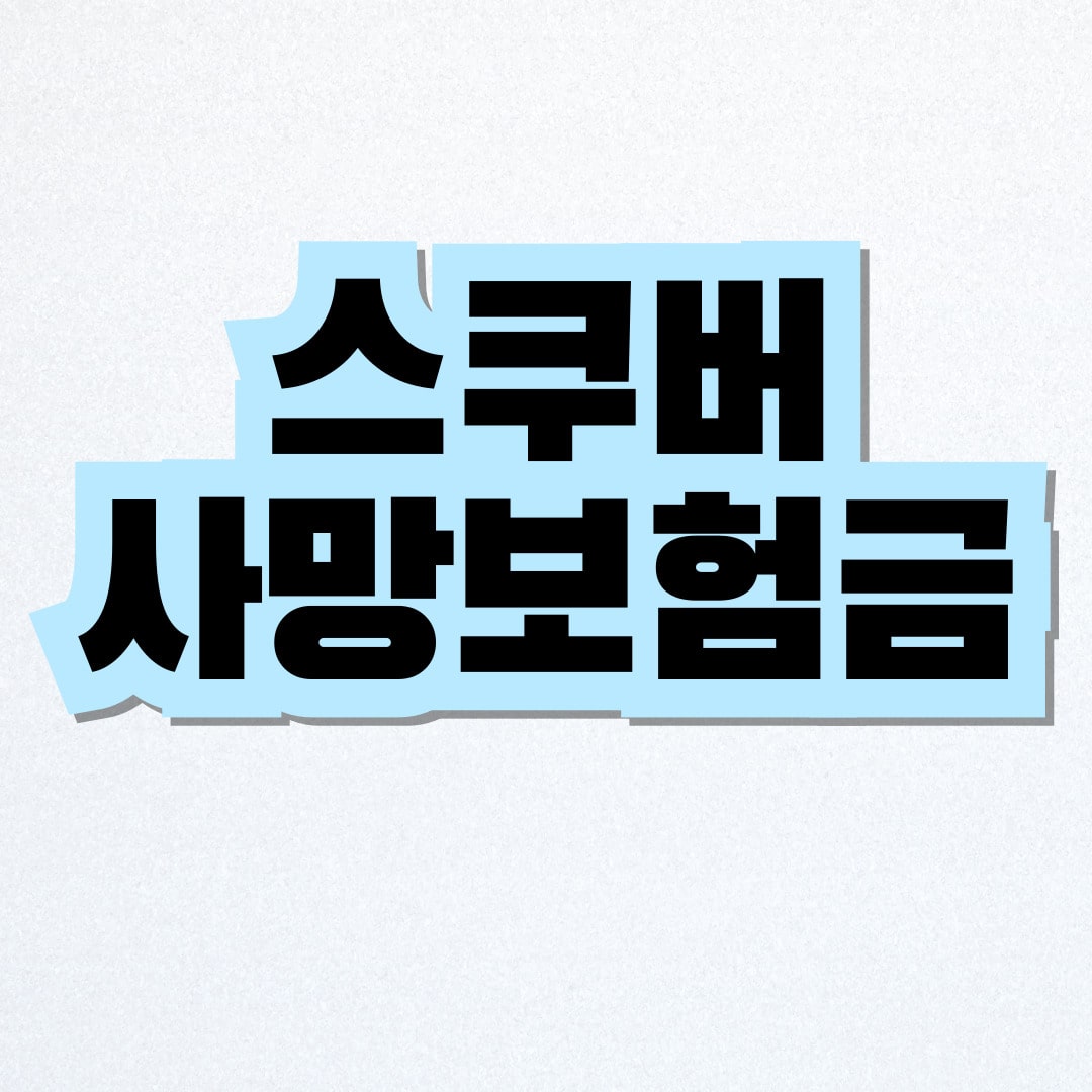 스쿠버 사망보험금