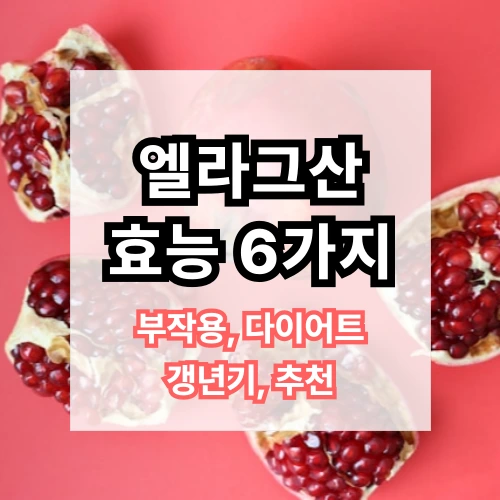 갱년기에좋은영양제