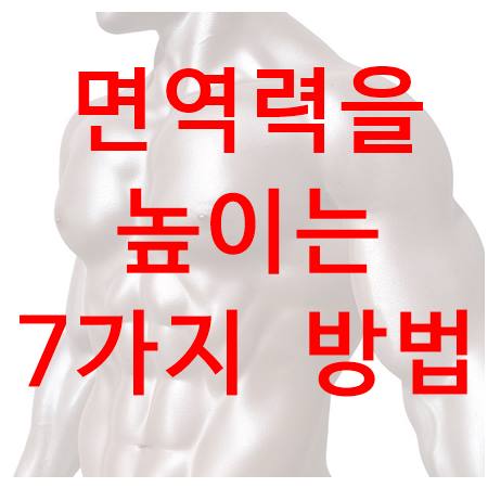  면역력을 높이는 7가지 방법