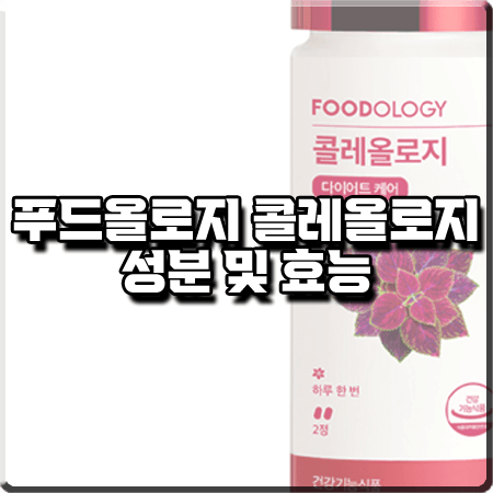 콜레올로지 성분 및 효능/가격 정리 :: 푸드올로지 빨간통 다이어트