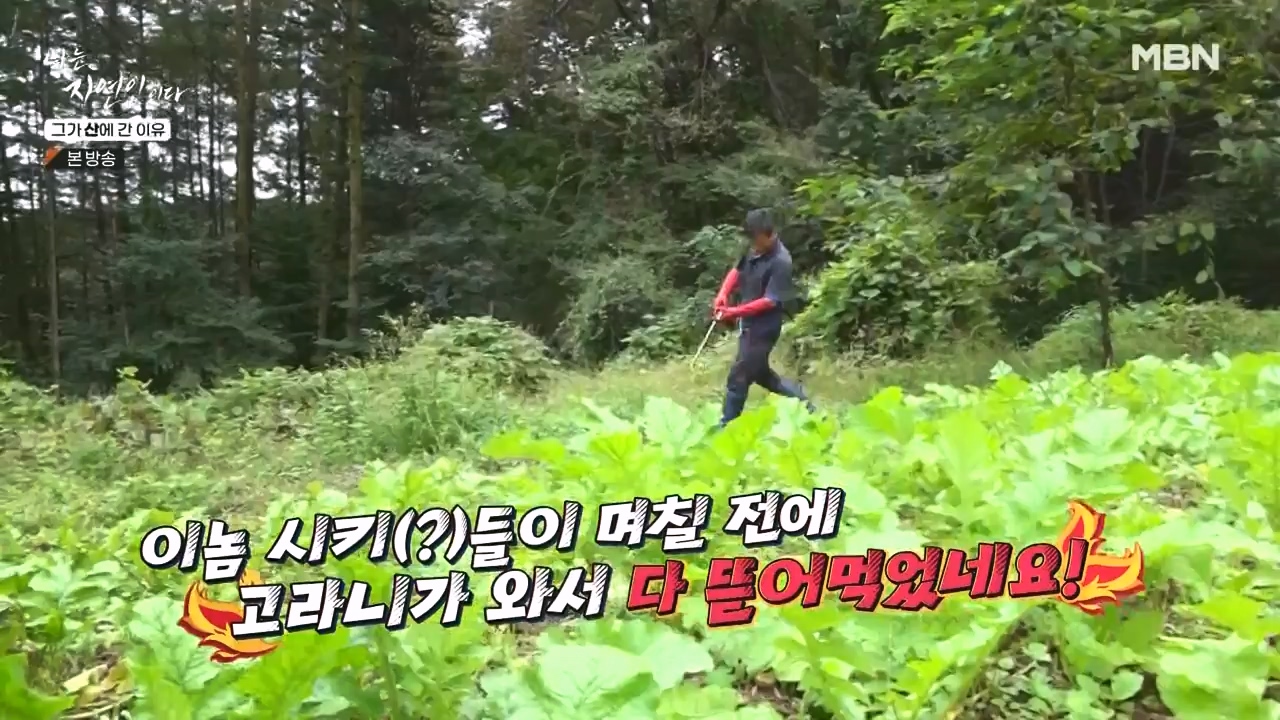 나는 자연인이다.E575.231012p-NEXT.mp4_20231012_200953.571.jpg