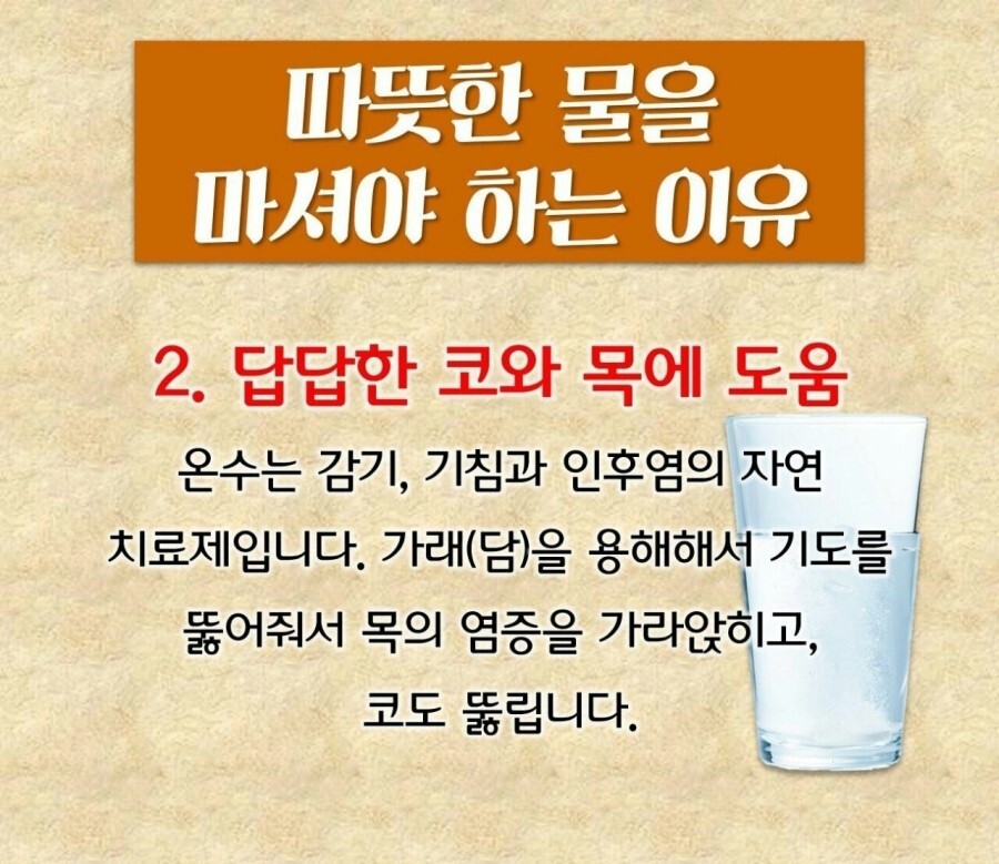  따뜻한 물을 마셔야하는 이유 효능???