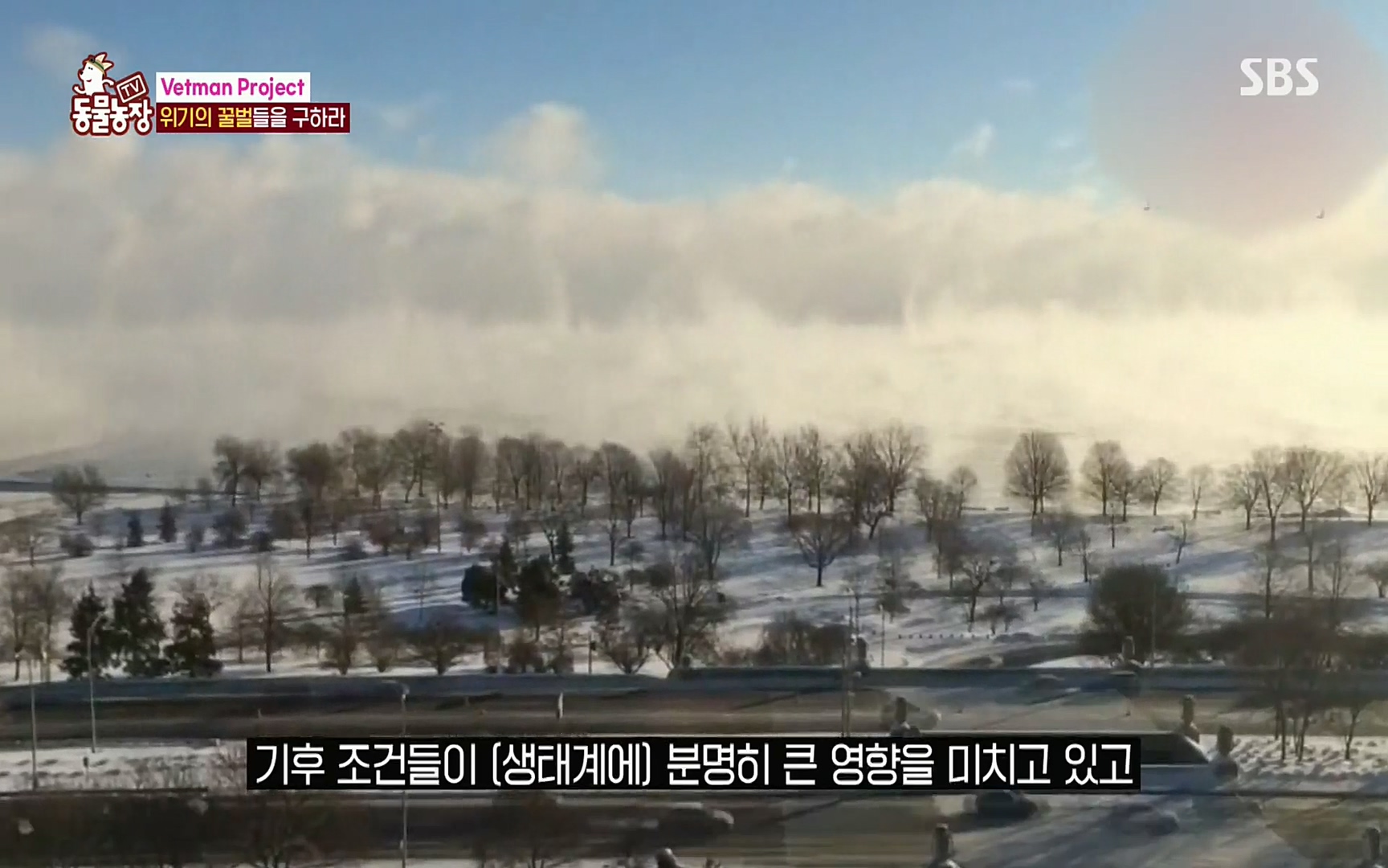 TV 동물농장.E1072.220605p.H264-F1RST.mp4_20220605_181210.336.jpg