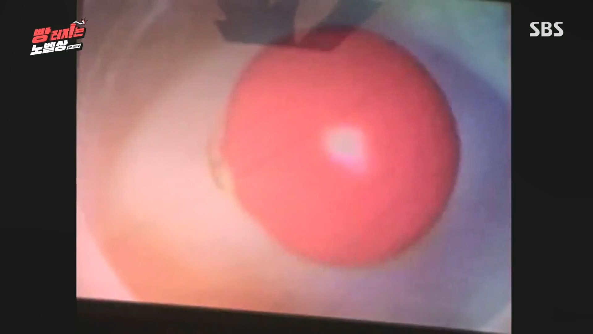 SBS 스페셜.E658.231105p.H264-F1RST.mp4_20231106_201728.276.jpg
