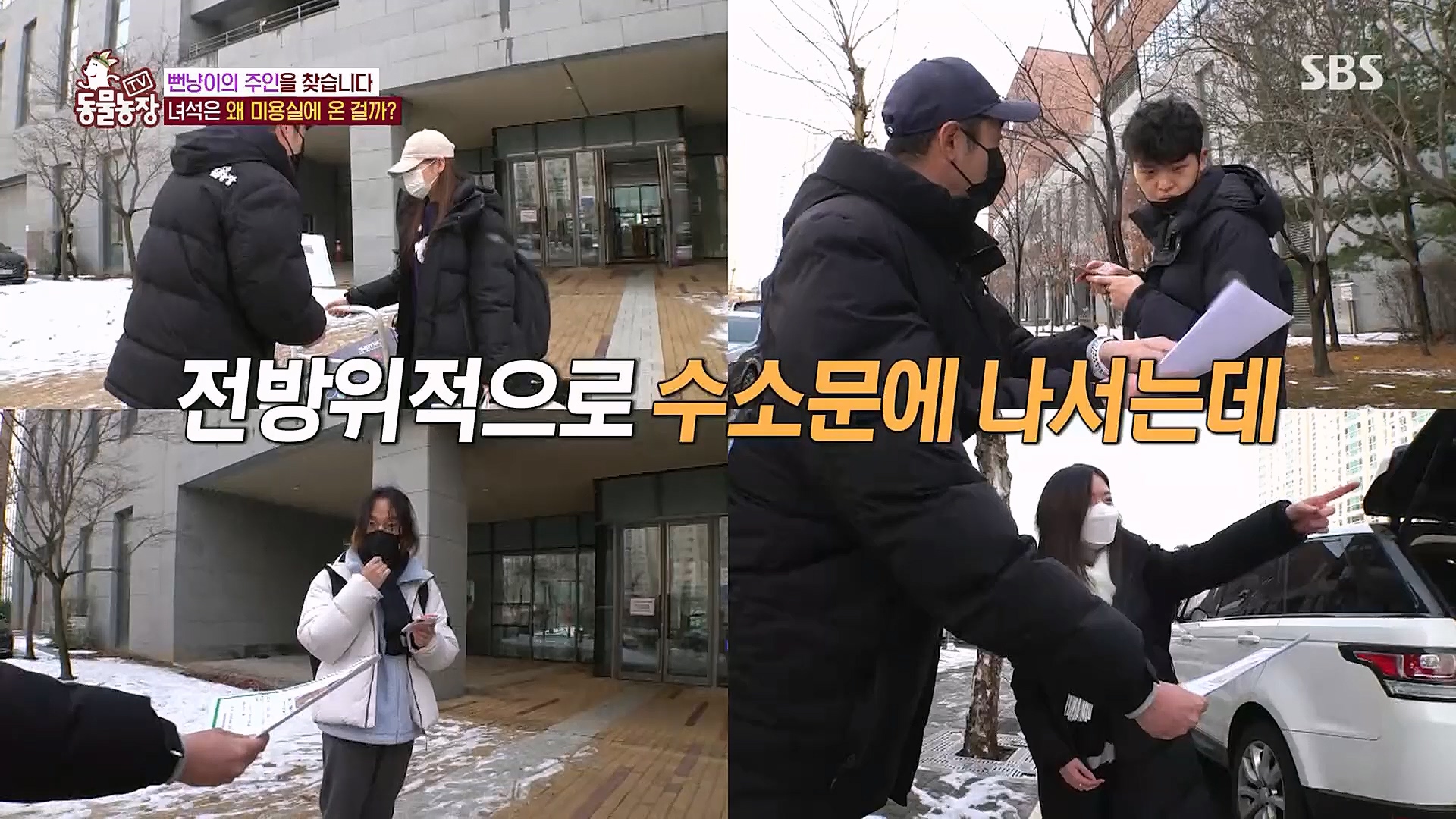 TV 동물농장.E1104.230115p.H264-F1RST.mp4_20230115_173210.792.jpg