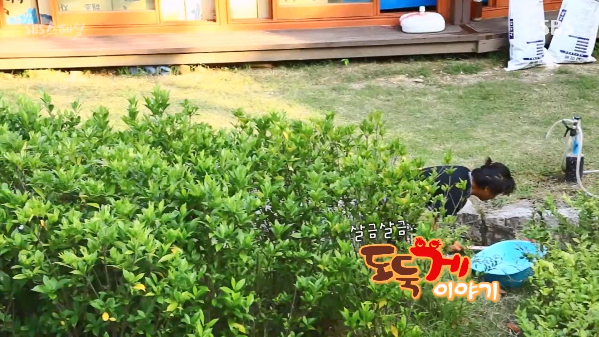 일요특선 다큐멘터리.E344.240310p-NEXT.mp4_20240310_160123.946.jpg