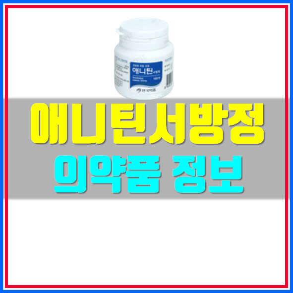  애니틴서방정 부작용 복용법 효능 확인