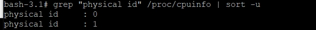 grep &quot;physical id&quot; /proc/cpuinfo &#124; sort -u