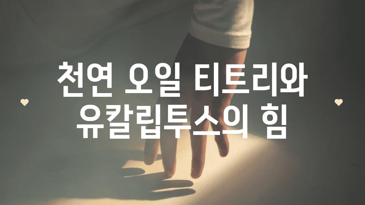 천연 오일| 티트리와 유칼립투스의 힘