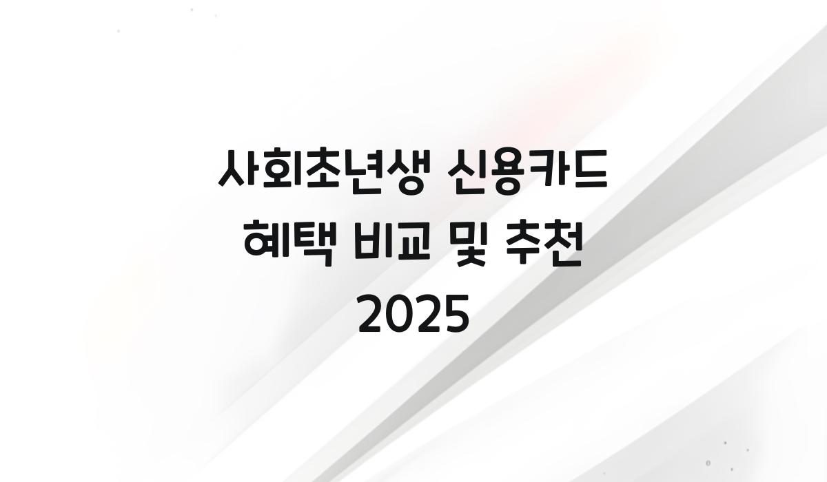 사회초년생 신용카드