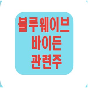  블루웨이브와 바이든 관련 미국 주식 정리